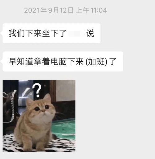 知不知道我們這一年是怎么過(guò)的