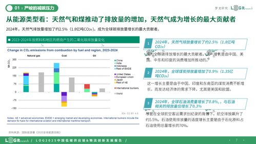 2025中國(guó)低碳供應(yīng)鏈 物流創(chuàng)新發(fā)展報(bào)告 